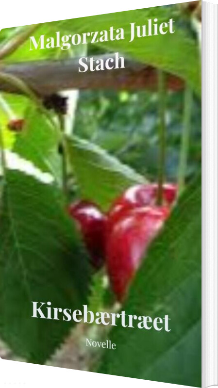 Kirsebærtræet - Malgorzata Stach - Bog