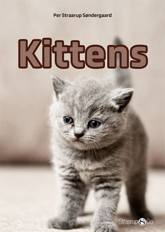 Kittens - Per Straarup Søndergaard - English Book - Straarup & Co