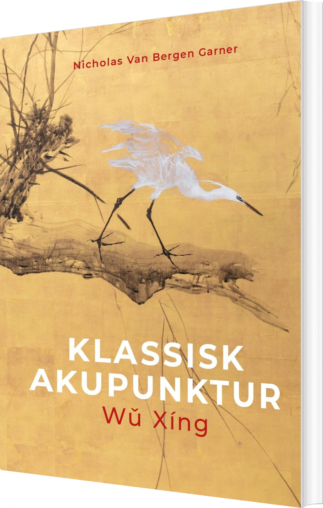 Klassisk Akupunktur - Nicholas Garner - Bog