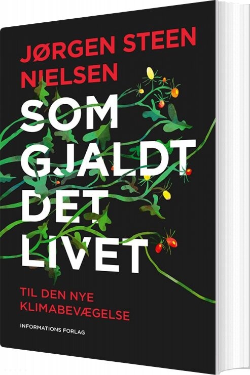 Billede af Klima - Jørgen Steen Nielsen - Bog