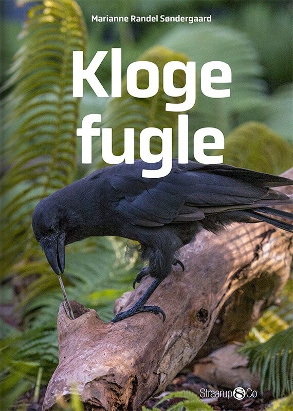Kloge Fugle - Marianne Randel Søndergaard - Bog - Straarup & Co