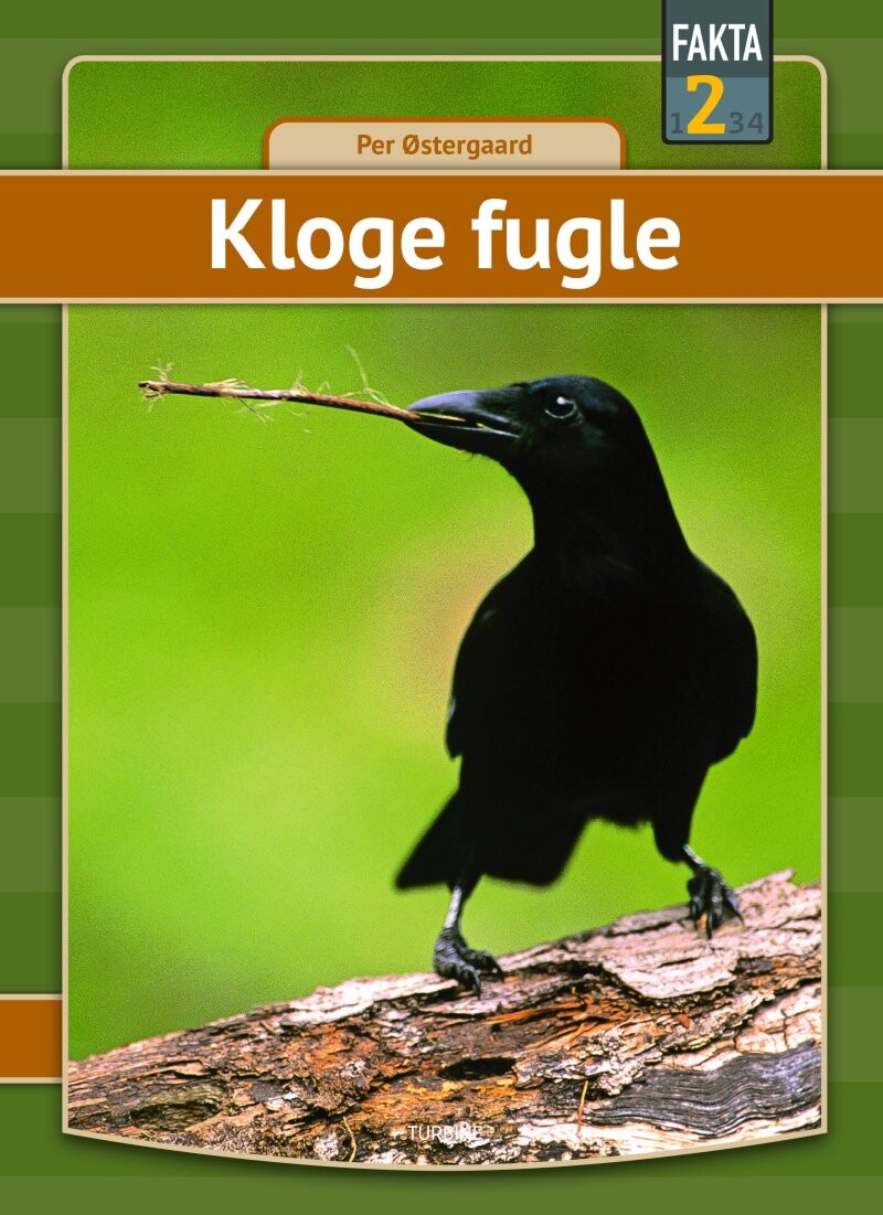 Billede af Kloge Fugle - Per østergaard - Bog
