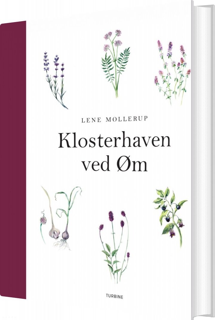 Billede af Klosterhaven Ved øm - Lene Mollerup - Bog