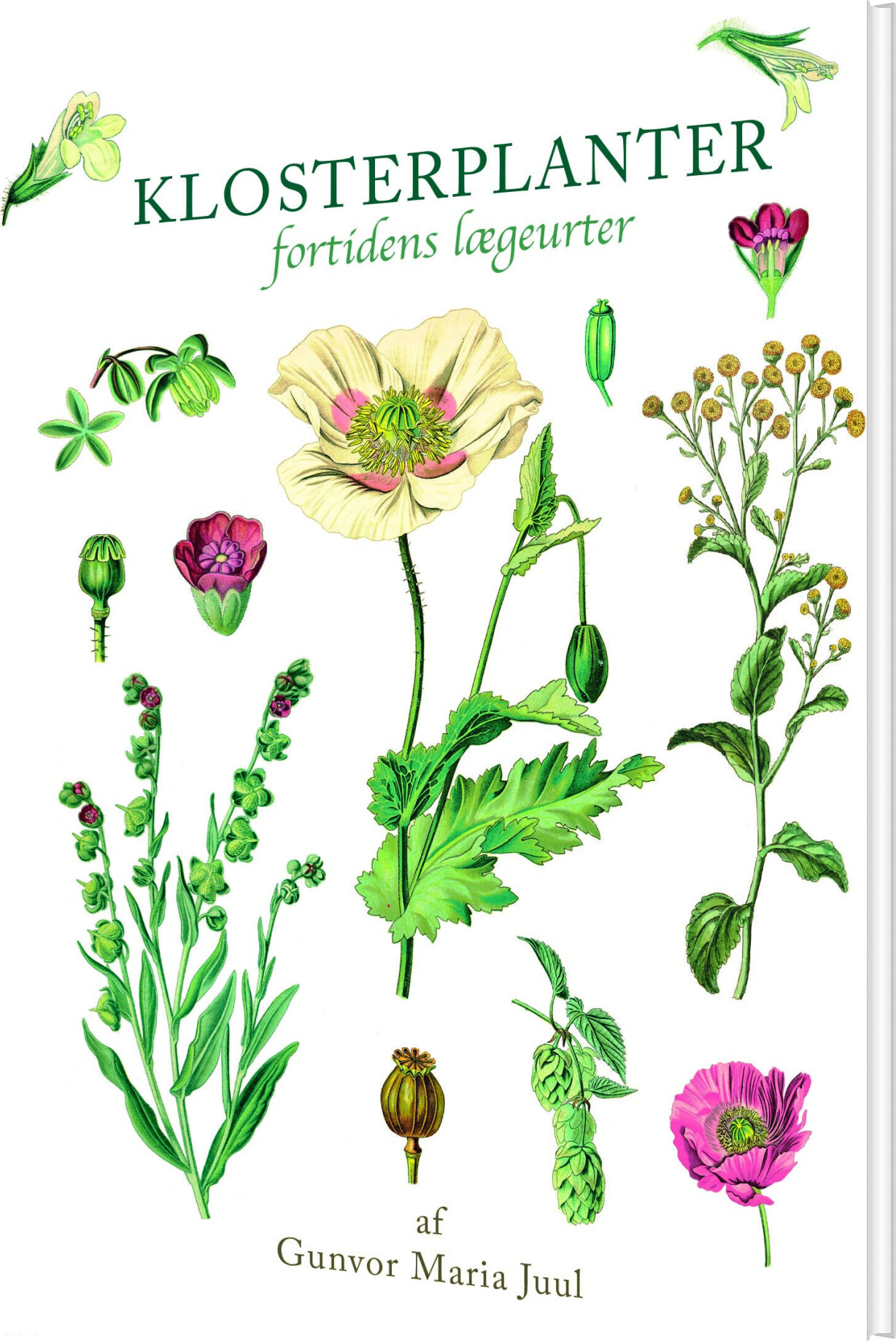 Klosterplanter - Gunvor Maria Juul - Bog