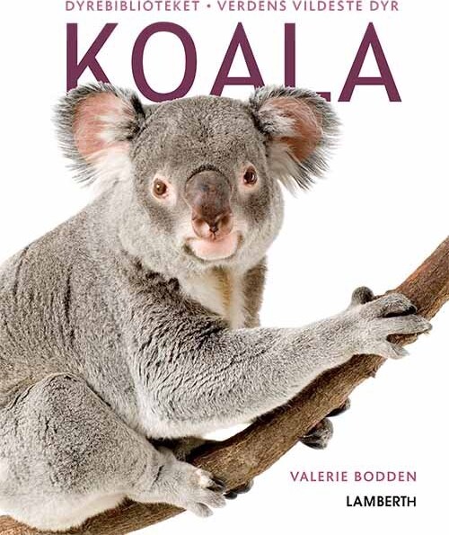 Billede af Koala - Valerie Bodden - Bog hos Gucca.dk