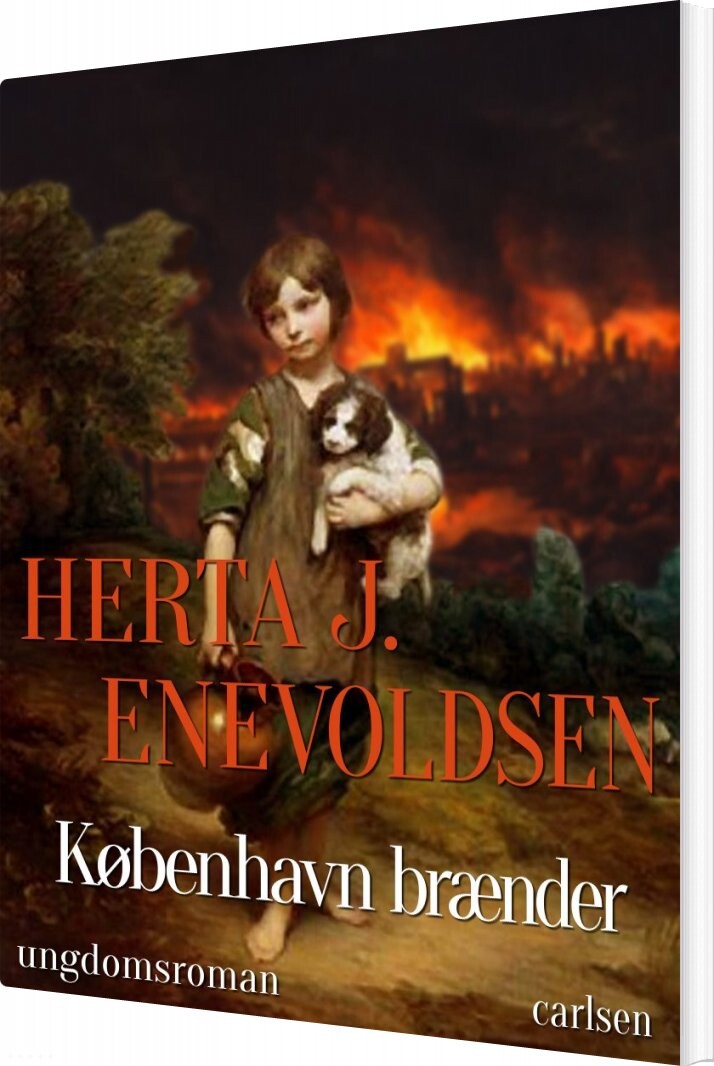 København Brænder - Herta J. Enevoldsen - Bog