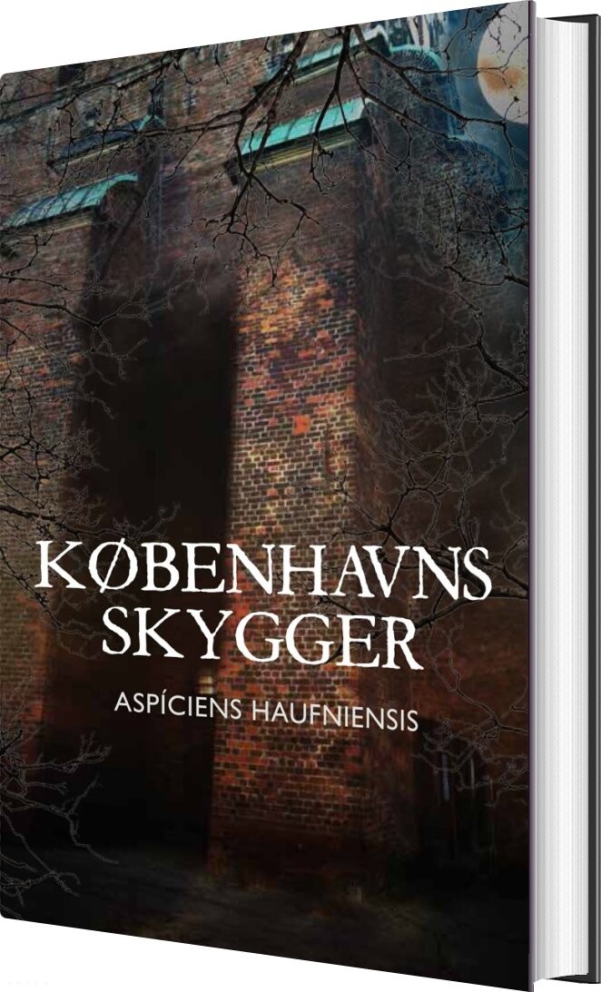 Københavns Skygger - Aspíciens Haufniensis - Bog - Ulven Og Uglen