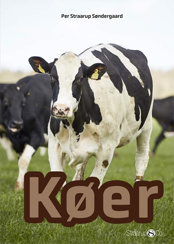 Køer - Per Straarup Søndergaard - Bog - Straarup & Co