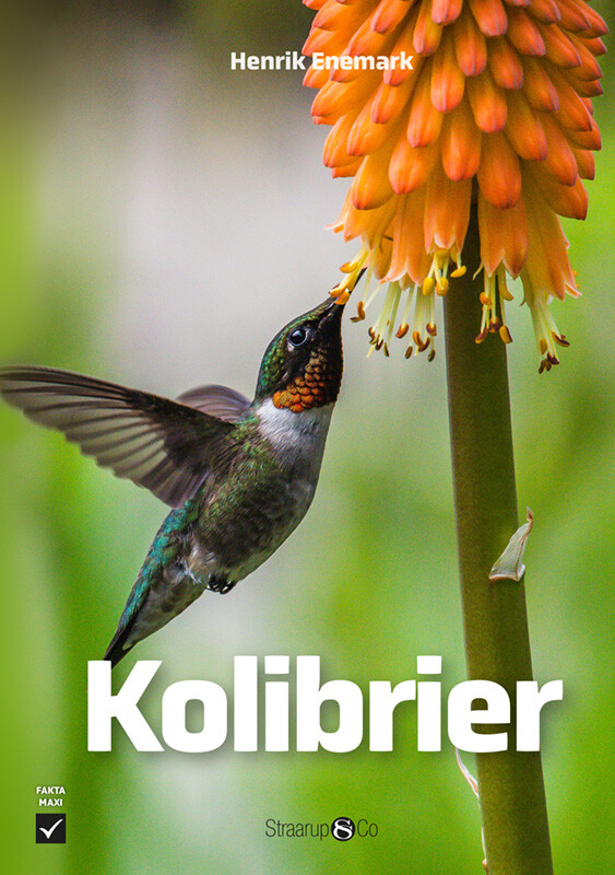 Kolibrier - Henrik Enemark - Bog - Straarup & Co