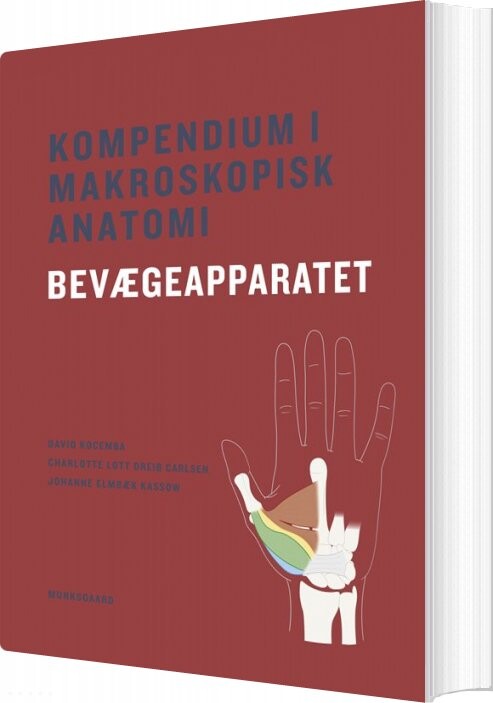 Kompendium I Makroskopisk Anatomi - Bevægeapparatet - David Kocemba - Bog
