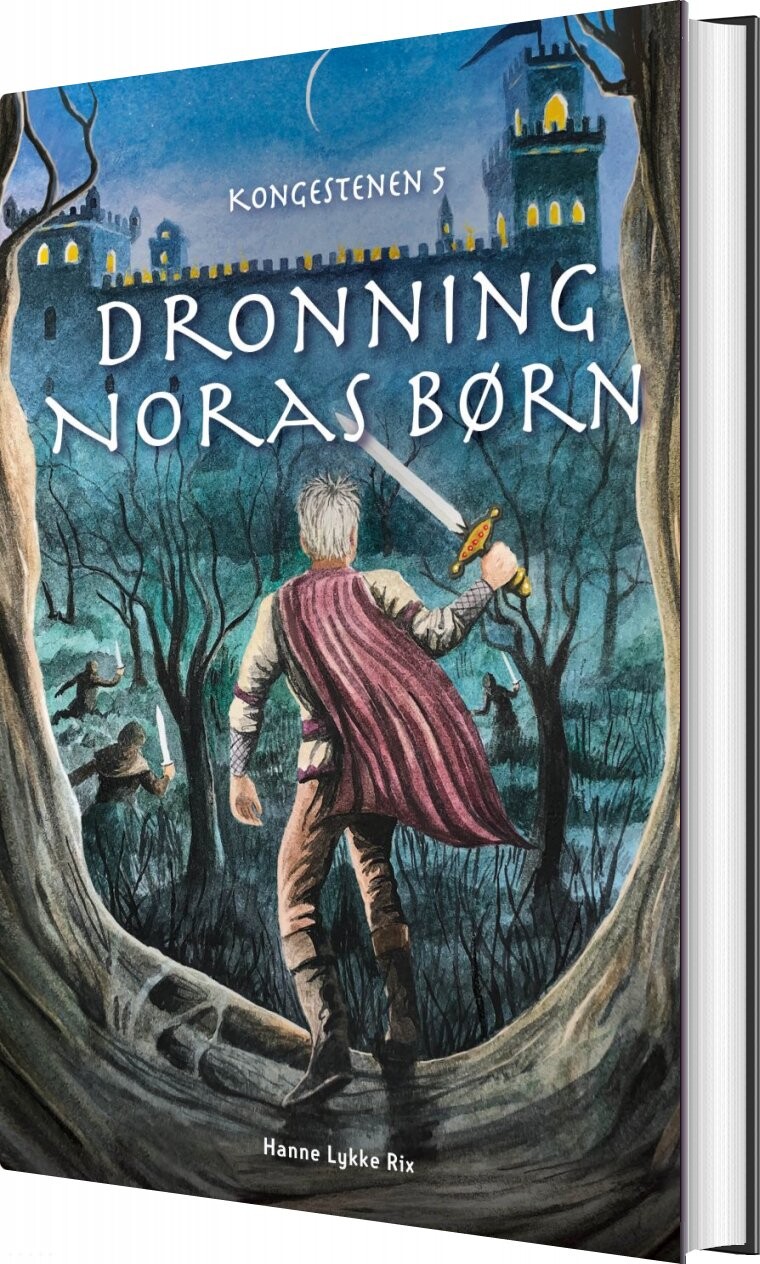 Billede af Dronning Noras Børn - Hanne Lykke Rix - Bog
