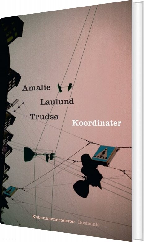 Billede af Koordinater - Amalie Laulund Trudsø - Bog