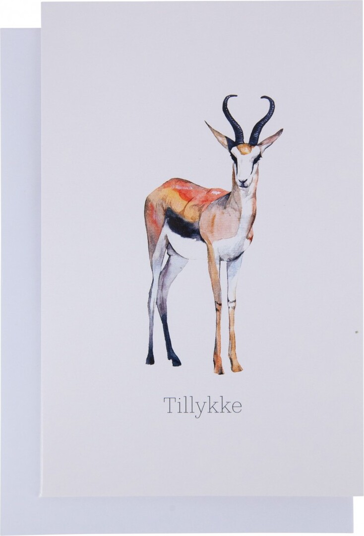 Kort Med Kuvert - 11x17 Cm - Dådyr - Scanseason