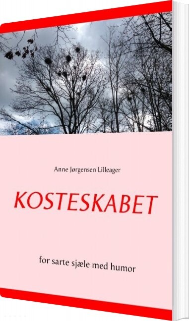 Billede af Kosteskabet - Anne Jørgensen Lilleager - Bog