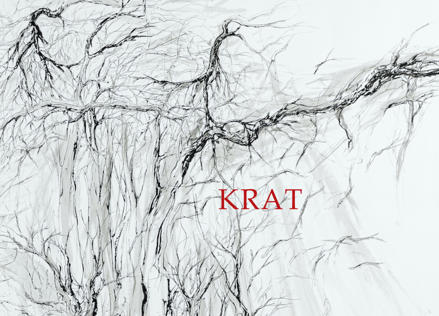 Krat - Bjørn Kromann Andersen - Bog