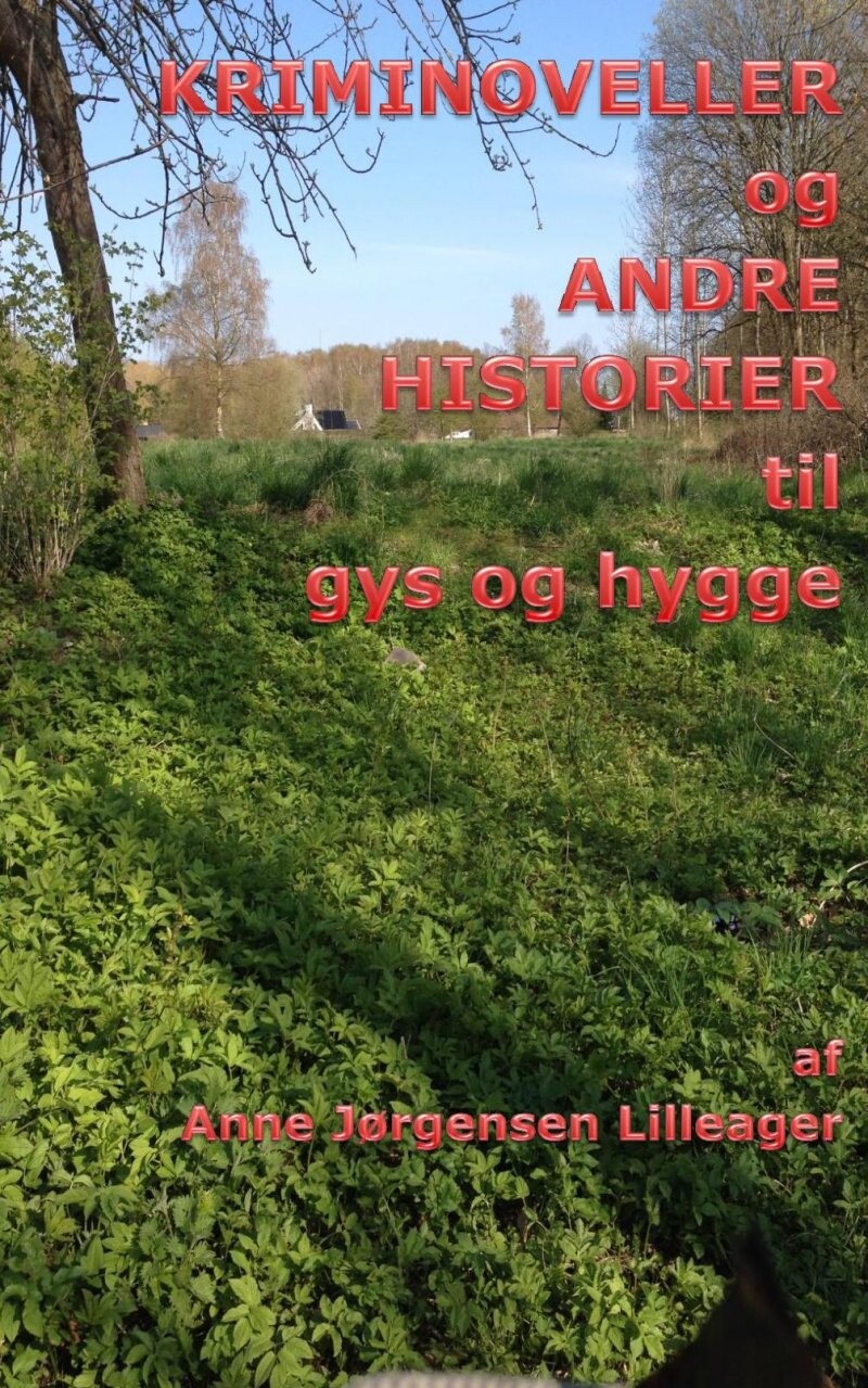 Kriminoveller Og Andre Historier Til Gys Og Hygge – Anne Jørgensen Lilleager – Bog
