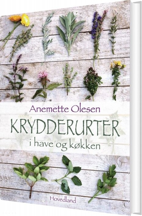 Billede af Krydderurter I Have Og Køkken - Anemette Olesen - Bog