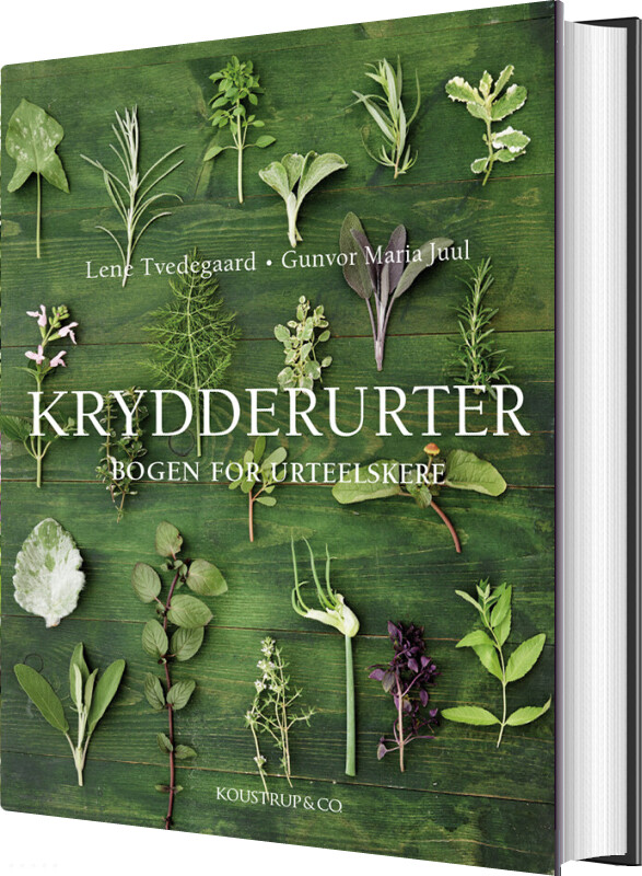 Krydderurter - Lene Tvedegaard - Bog