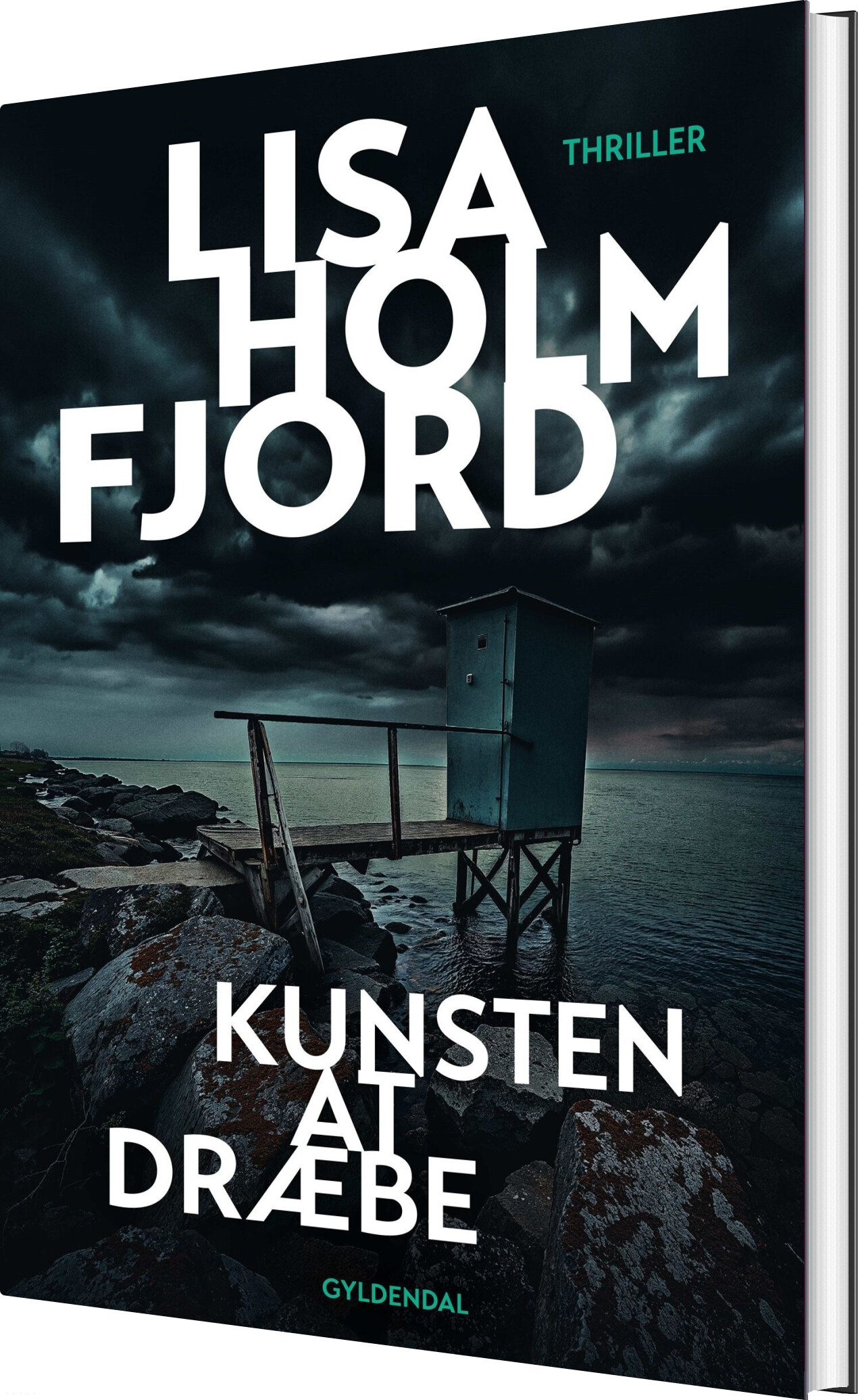 Kunsten At Dræbe - Lisa Holmfjord - Bog