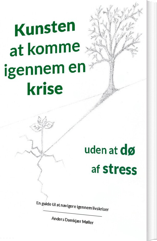 Kunsten At Komme Igennem En Krise Uden At Dø Af Stress - Anders Damkjær Møller - Bog