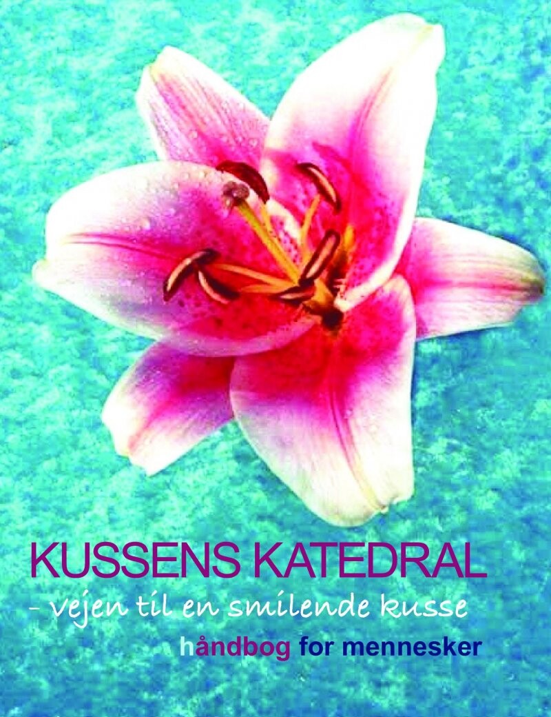 Kussens Katedral - Kirsia Isabella Olufsen - Bog