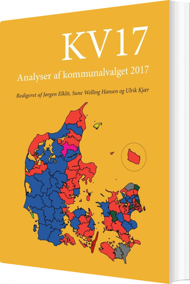 Kv17 - Jørgen Elklit - Bog