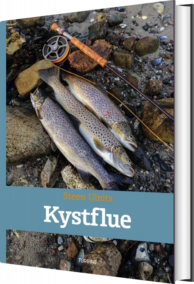 Billede af Kystflue - Steen Ulnits - Bog