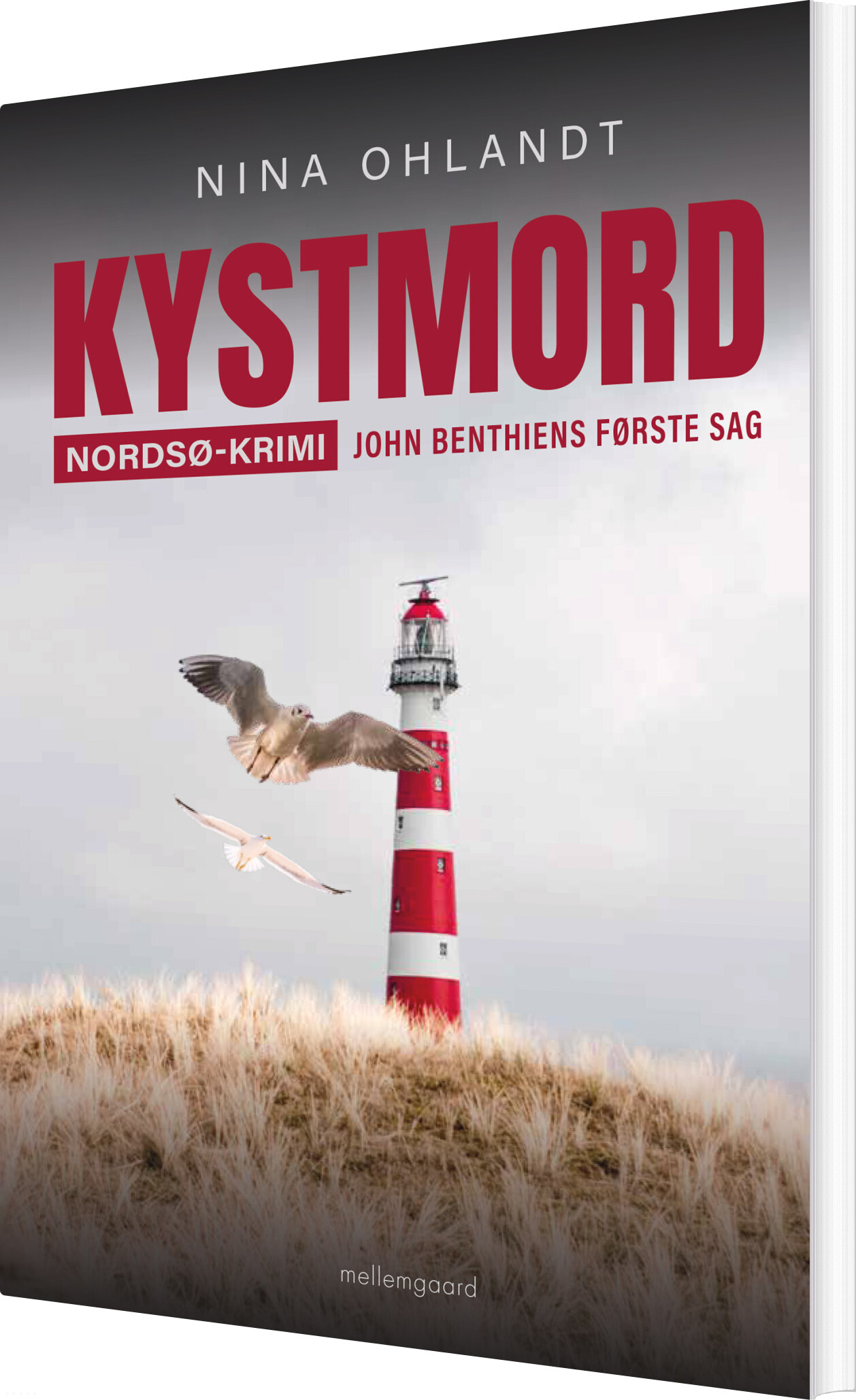 Kystmord - Nina Ohlandt - Bog