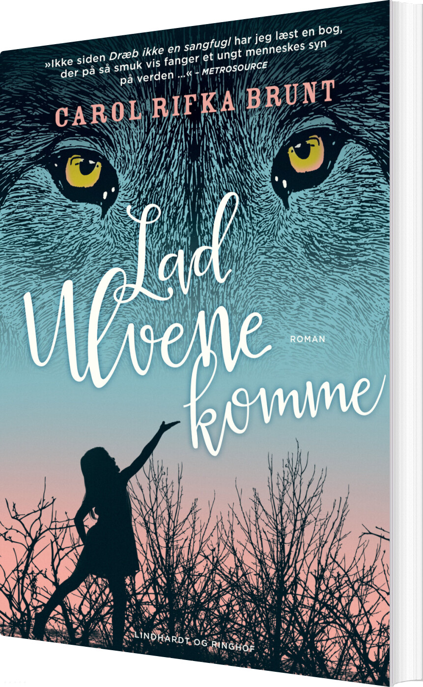 Lad Ulvene Komme - Carol Rifka Brunt - Bog