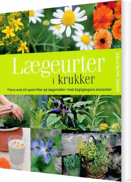 Lægeurter I Krukker - Anne Mcintyre - Bog