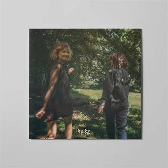 Bye Bye Brenda - Landmarks - Vinyl Lp