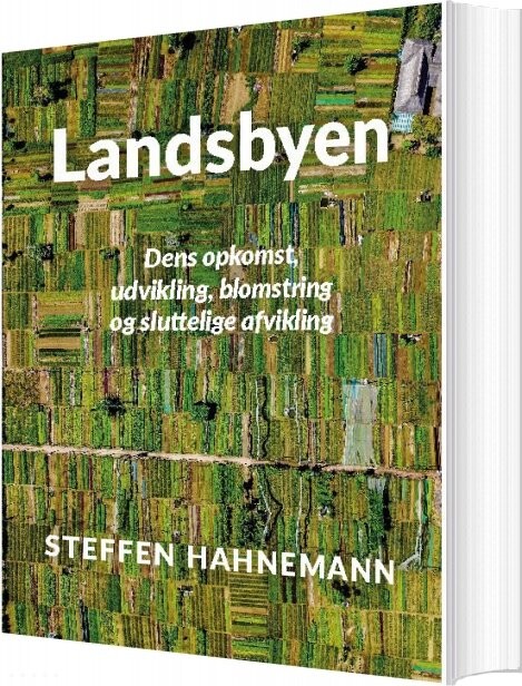 Billede af Landsbyen - Steffen Hahnemann - Bog