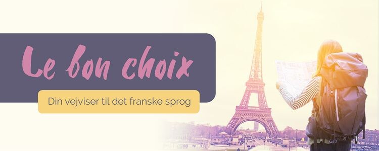 Le Bon Choix - Philip Hoe - Bog