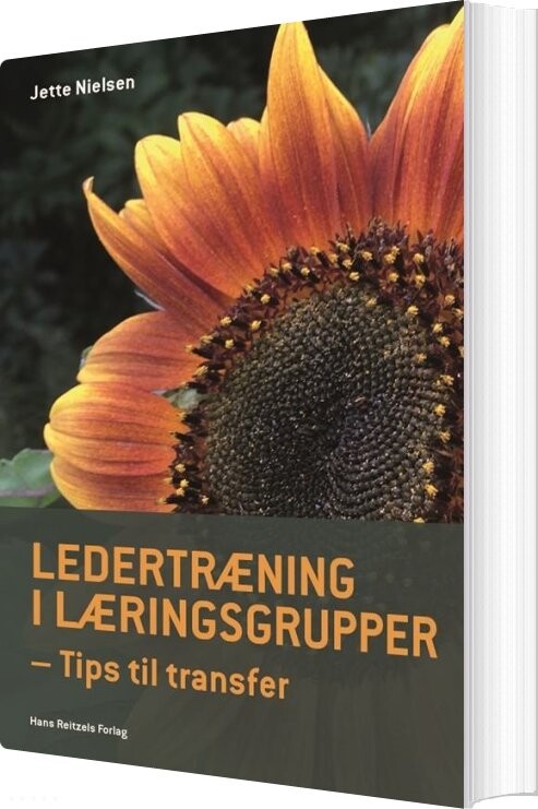 Billede af Ledertræning I Læringsgrupper - Jette Nielsen - Bog