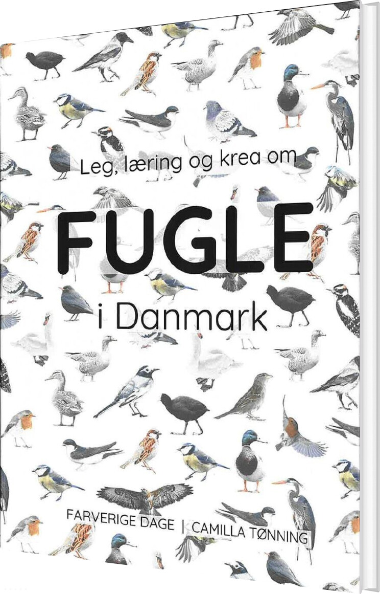 Leg, Læring Og Krea Om Fugle I Danmark - Camilla Tønning - Bog