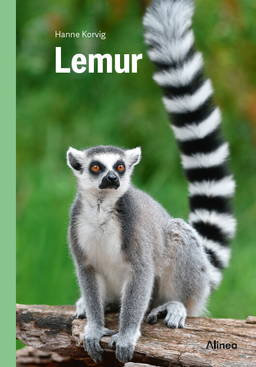 Billede af Lemur, Grøn Fagklub - Hanne Korvig - Bog hos Gucca.dk
