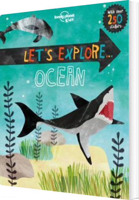 Let´s Explore...ocean - Diverse - English Book