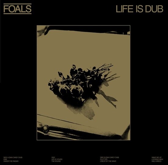 Foals - Life Is Yours - Vinyl Lp