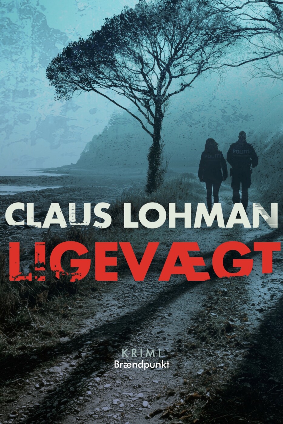 Ligevægt - Claus Lohman - Bog