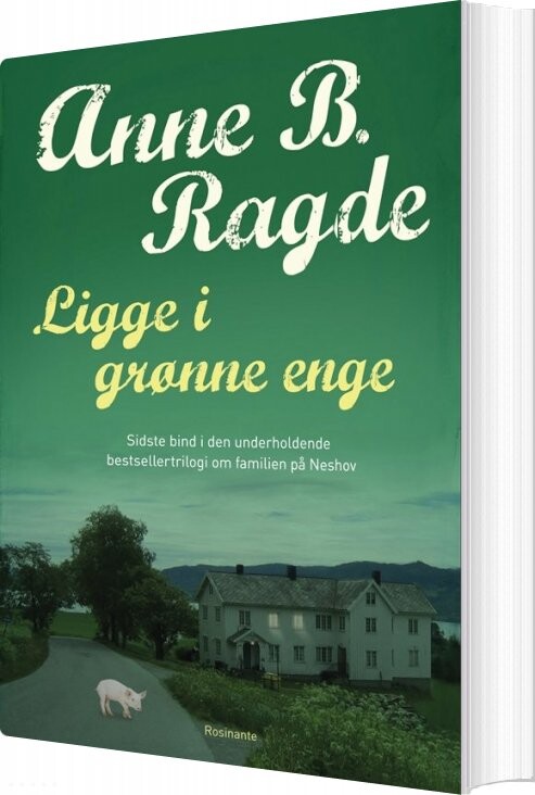Ligge I Grønne Enge - Anne B. Ragde - Bog