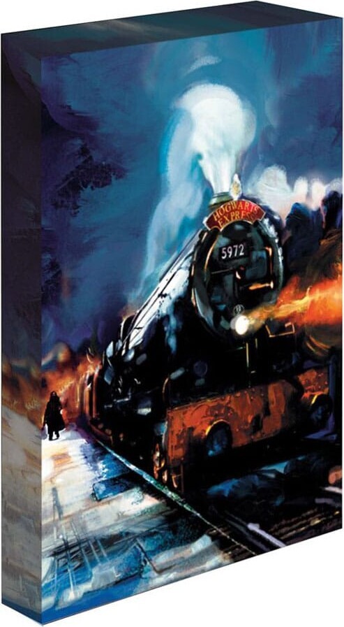 Pyramid International Lysende lærred Harry Potter (Hogwarts Express) 30x40