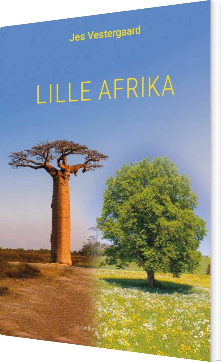 Lille Afrika - Jes Vestergaard - Bog