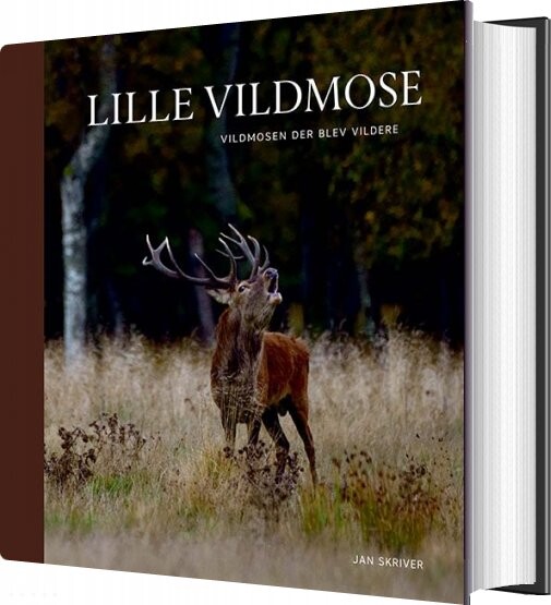 Billede af Lille Vildmose - Jan Skriver - Bog