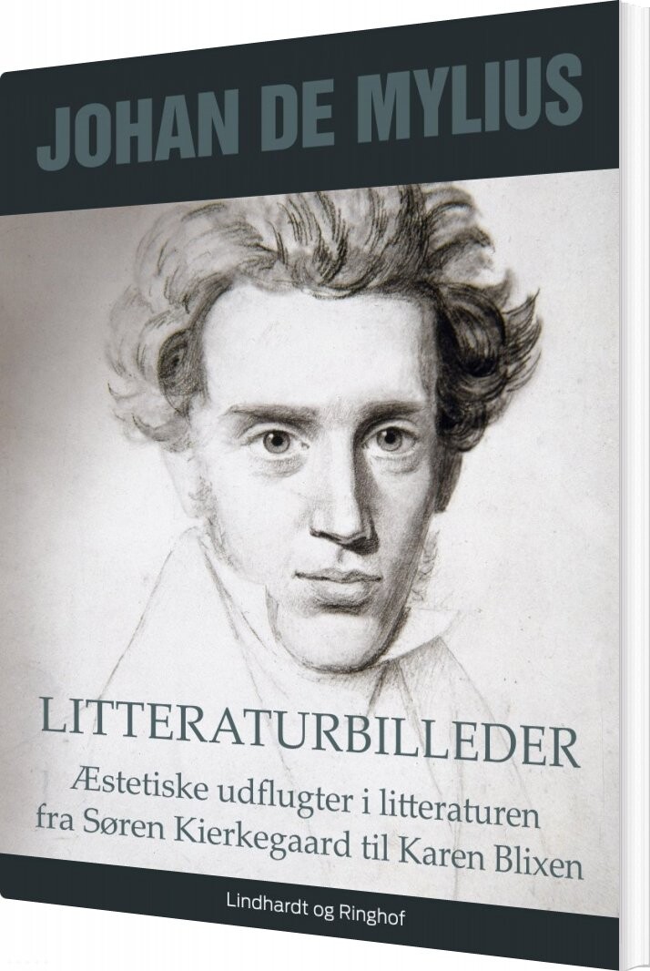 Litteraturbilleder - Johan De Mylius - Bog