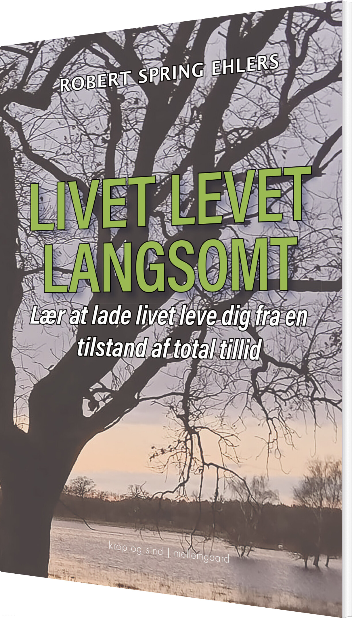 Livet Leves Langsomt - Robert Spring Ehlers - Bog