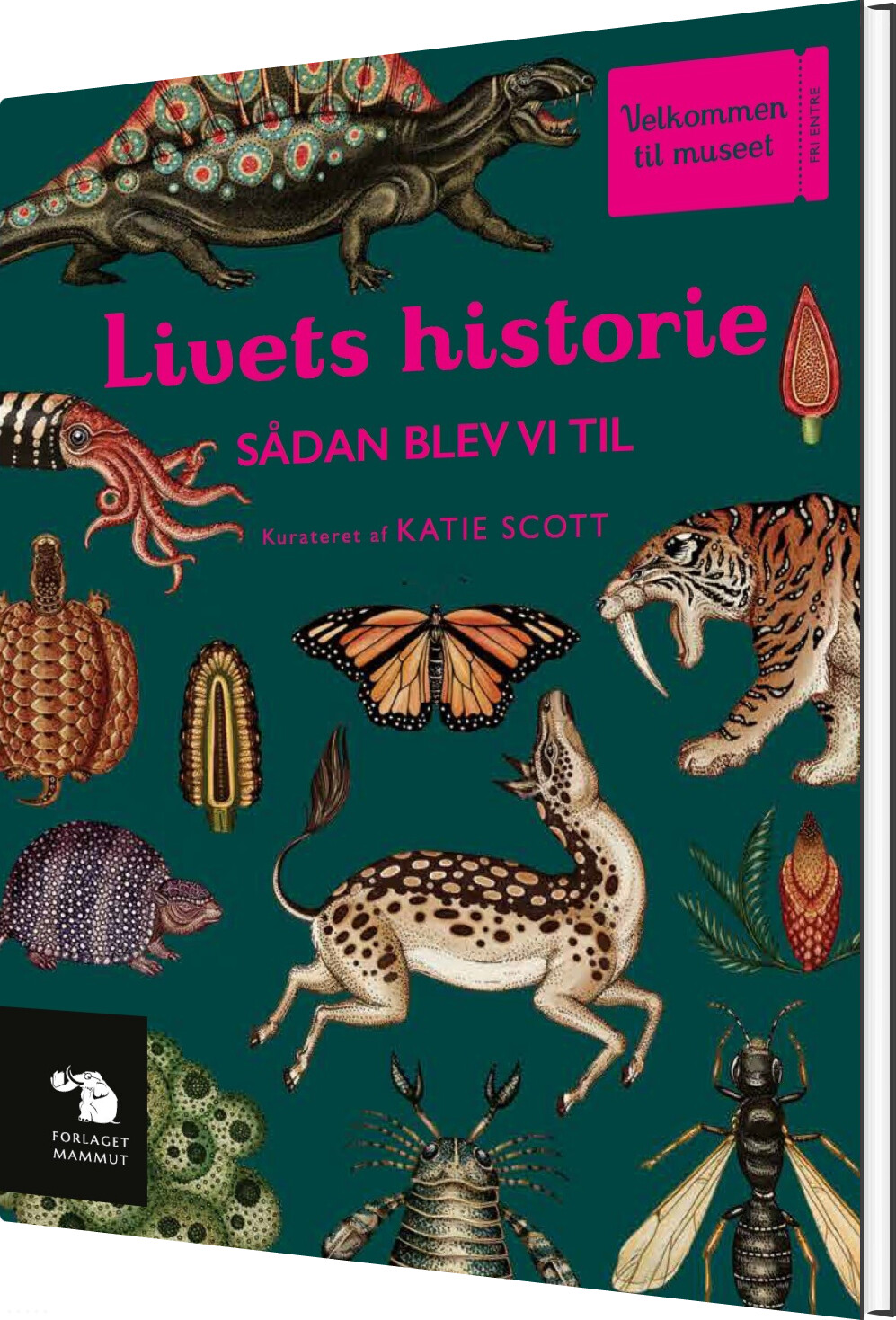 Billede af Livets Historie - Ruth Symons - Bog