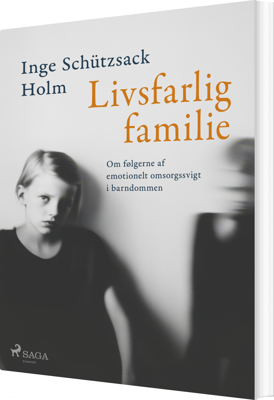 Livsfarlig Familie - Inge Schützsack Holm - Bog