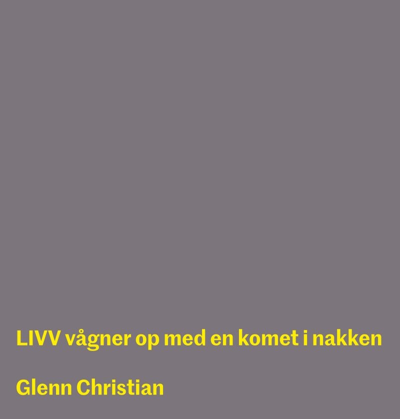 Billede af Livv Vågner Op Med En Komet I Nakken - Glenn Christian - Bog