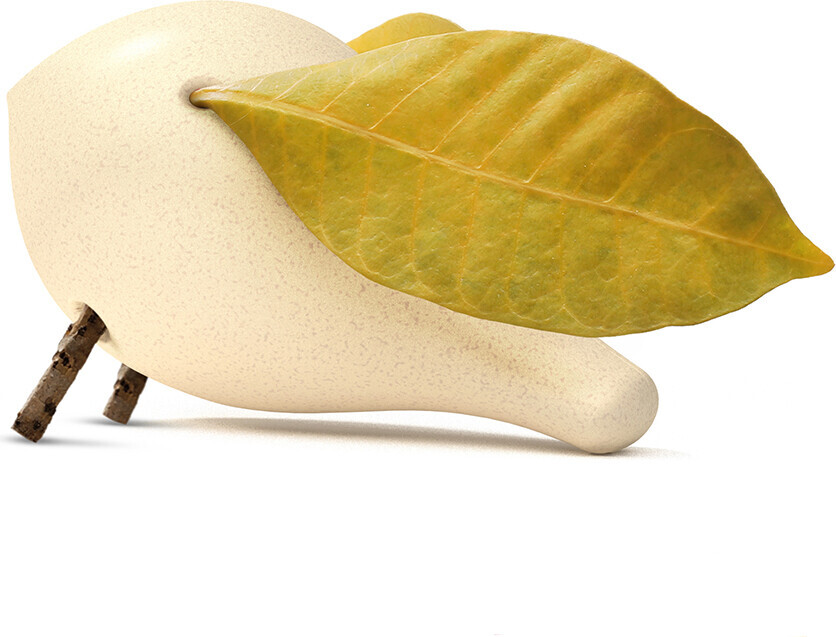 Locomo - Becky - Natur