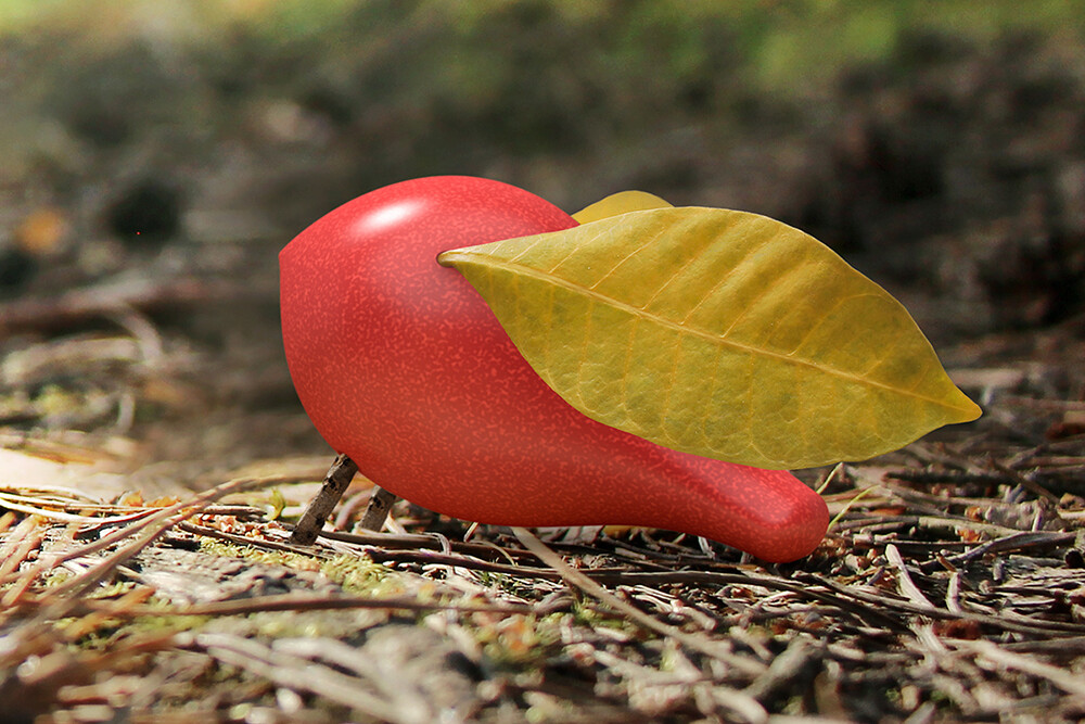 Locomo - Becky - Rød